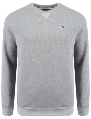 Le Shark Greenfield sweatshirt in grey