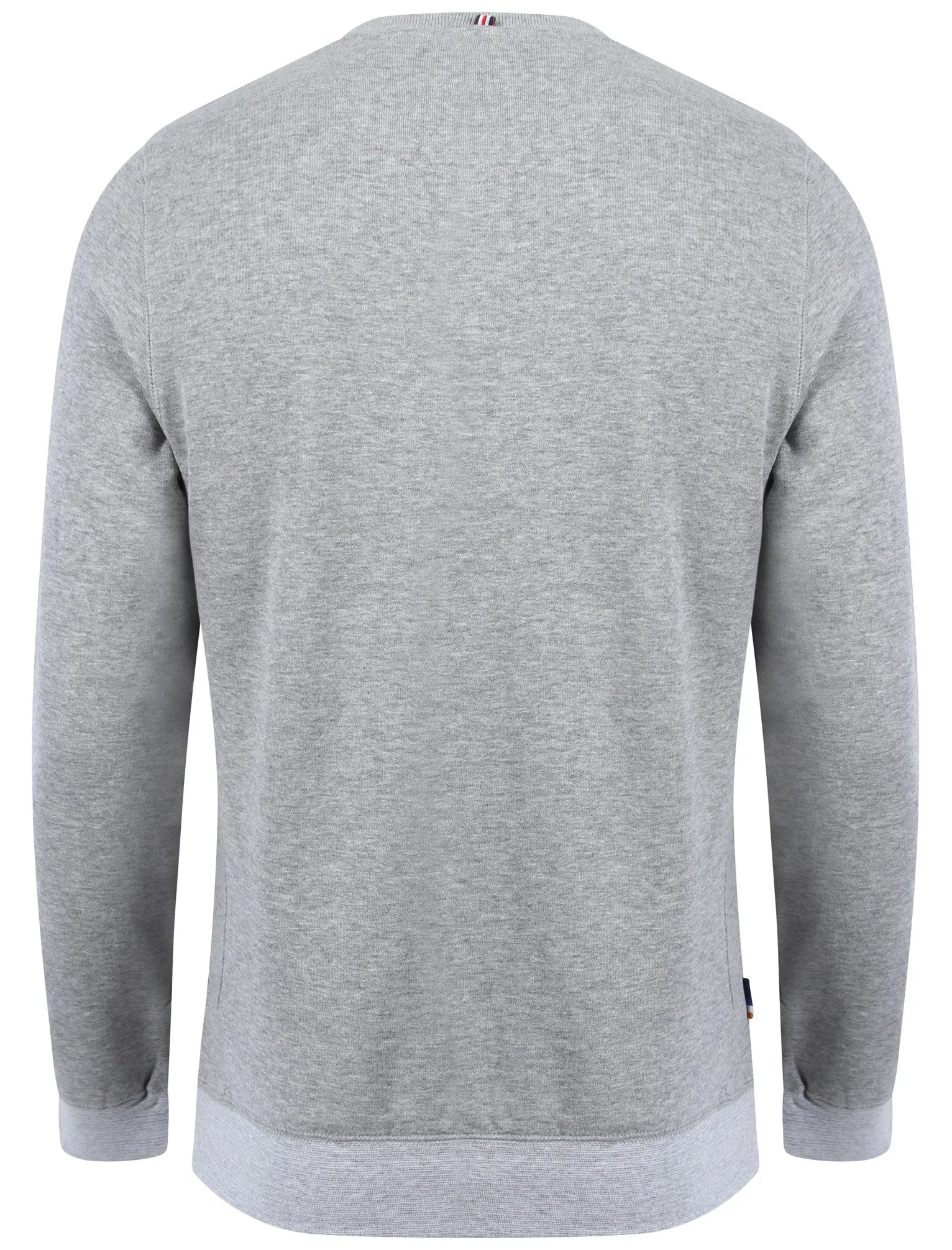 Le Shark Greenfield sweatshirt in grey